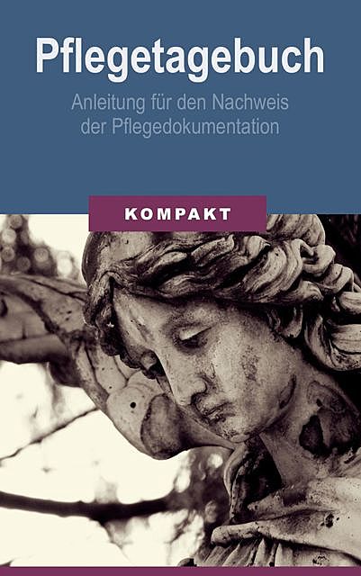 Pflegetagebuch – Anleitung für den Nachweis der Pflegedokumentation, Angelika Schmid