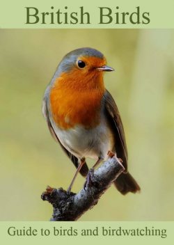 British Birds, Colin Salter