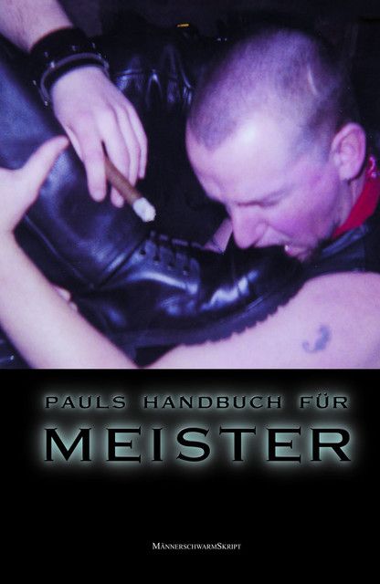Pauls Bücher / Pauls Bücher Bd. 5: Pauls Handbuch für Meister, paul