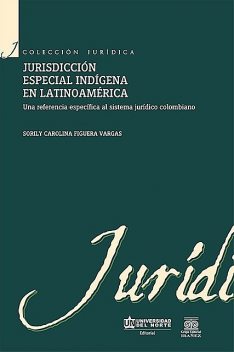Jurisdicción especial indígena en Latinoamérica, Sorily Carolina Figuera Vargas