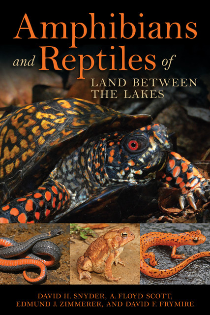 Amphibians and Reptiles of Land Between the Lakes, A. Floyd Scott, David F. Frymire, David H. Snyder, Edmund J. Zimmerer