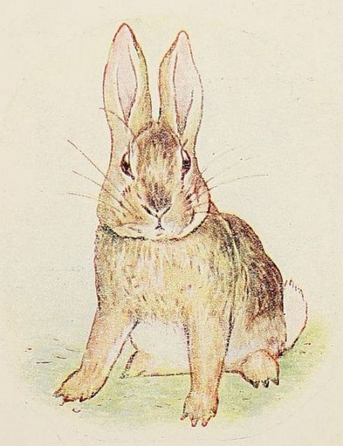 The Story of a Fierce Bad Rabbit, Beatrix Potter