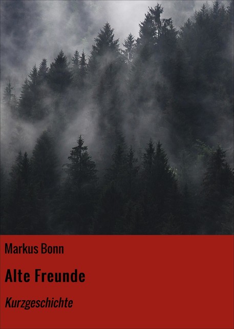 Alte Freunde, Markus Bonn