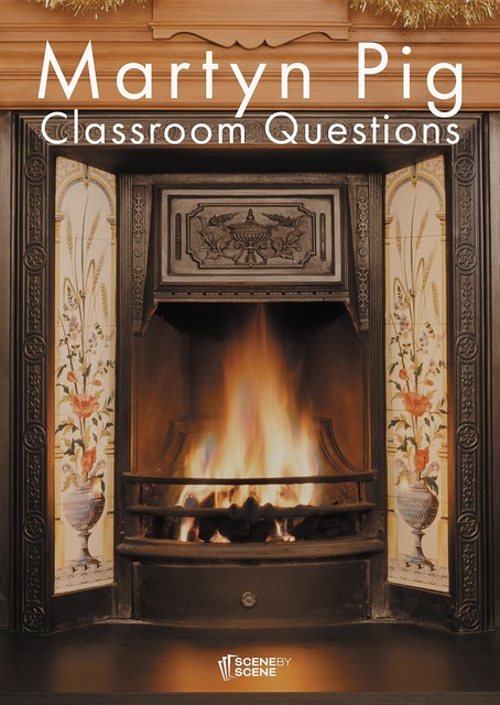 Martyn Pig Classroom Questions, Amy Farrell