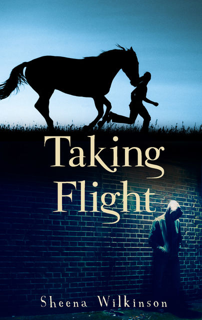 Taking Flight, Sheena Wilkinson