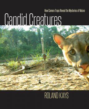 Candid Creatures, Roland Kays