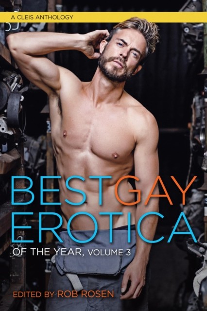 Best Gay Erotica of the Year, Volume 3, Rob Rosen