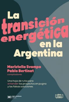La transición energética en la Argentina, Maristella Svampa, Pablo Bertinat