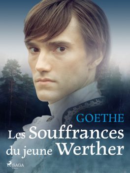 Les Souffrances du jeune Werther, Johann Wolfgan Von Goethe