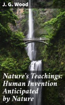 Nature's Teachings: Human Invention Anticipated by Nature, J.G. Wood