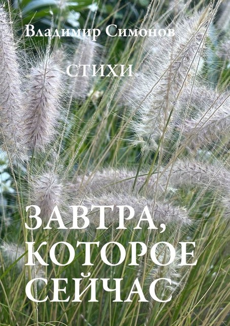 Завтра, которое сейчас, Владимир Симонов
