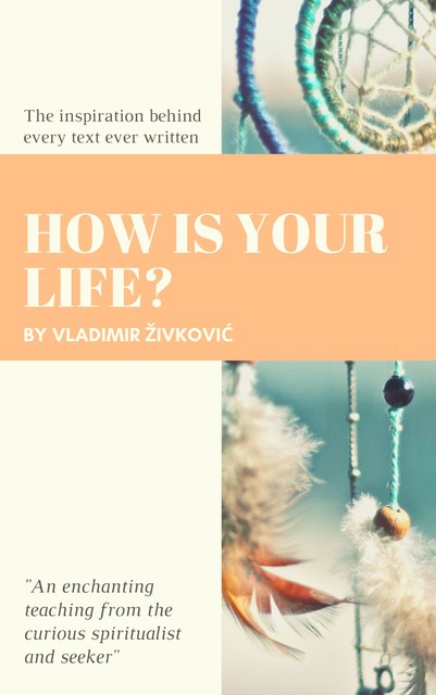 How Is Your Life, Vladimir Živković