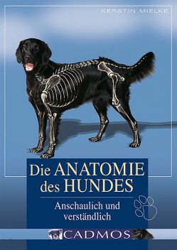Die Anatomie des Hundes, Kerstin Mielke