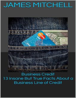 Business Credit: 13 Insane But True Facts About a Business Line of Credit, James Mitchell