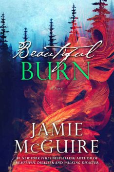 Beautiful Burn: A Novel, Jamie McGuire