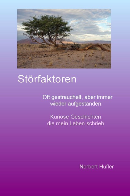 Störfaktoren, Norbert Hufler