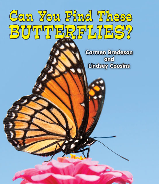 Can You Find These Butterflies?, Carmen Bredeson, Lindsey Cousins