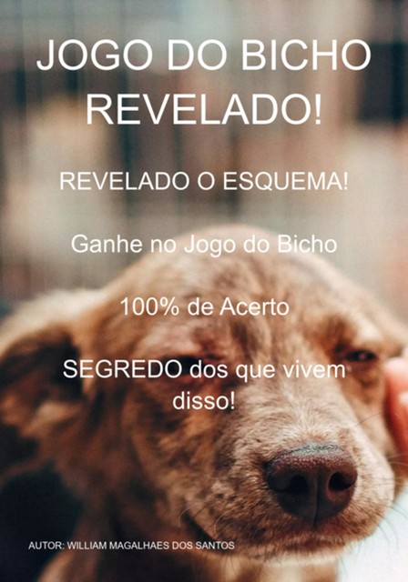 Jogo Do Bicho, William