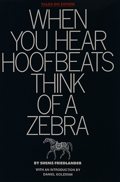 When You Hear Hoofbeats, Think of a Zebra: Talks on Sufism, Shems Friedlander