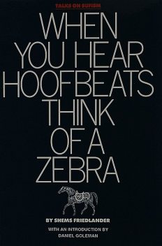 When You Hear Hoofbeats, Think of a Zebra: Talks on Sufism, Shems Friedlander