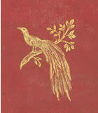 The Illustrated Alphabet of Birds, 