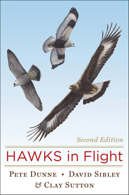 Hawks In Flight, Pete Dunne, Clay Sutton, David Sibley