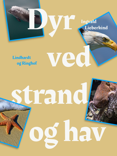 Dyr ved strand og i hav, Ingvald Lieberkind