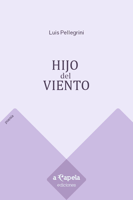 Hijo del viento, Luis Pellegrini