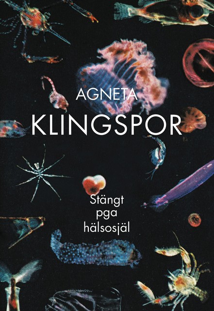 Stängt pga hälsosjäl, Agneta Klingspor
