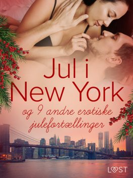 Jul i New York – og 9 andre erotiske julefortællinger, LUST authors