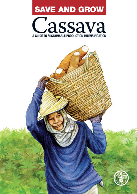 Save and Grow: Cassava, Agriculture Organization of the United Nations of the United Nations, Food