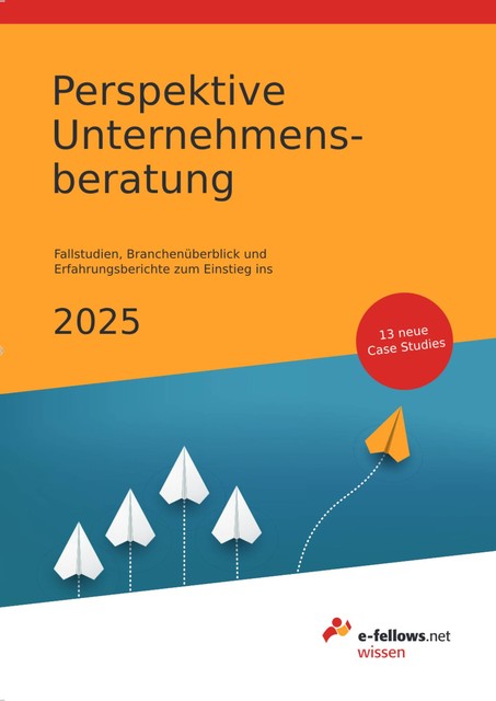 Perspektive Unternehmensberatung 2025, e-fellows. net