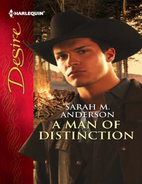 A Man of Distinction, Sarah Anderson