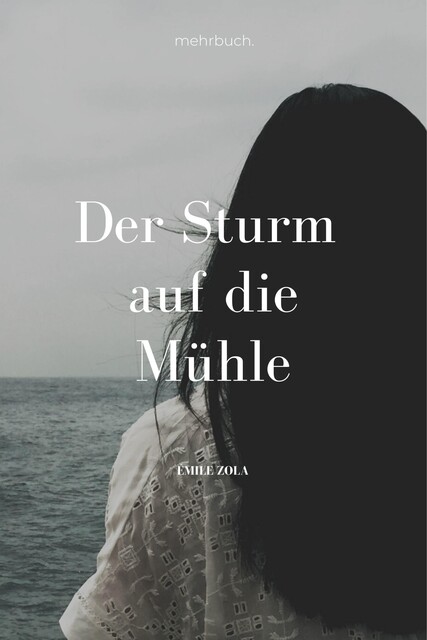 Der Sturm auf die Mühle, Émile Zola