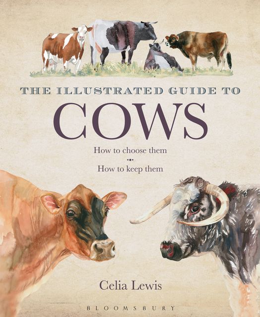The Illustrated Guide to Cows, Celia Lewis
