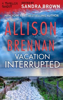 Vacation Interrupted, Allison Brennan