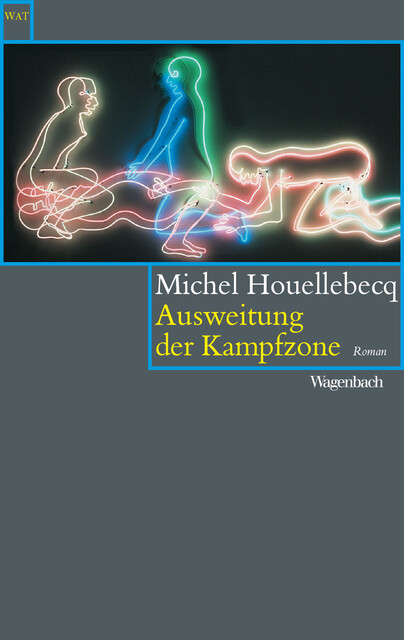 Ausweitung der Kampfzone, Michel Houellebecq