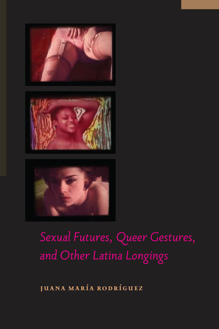 Sexual Futures, Queer Gestures, and Other Latina Longings, Juana María Rodríguez