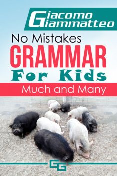 No Mistakes Grammar for Kids, Giacomo Giammatteo