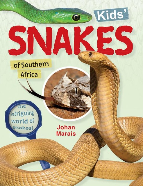 Kids’ snakes of Southern Africa, Johan Marais