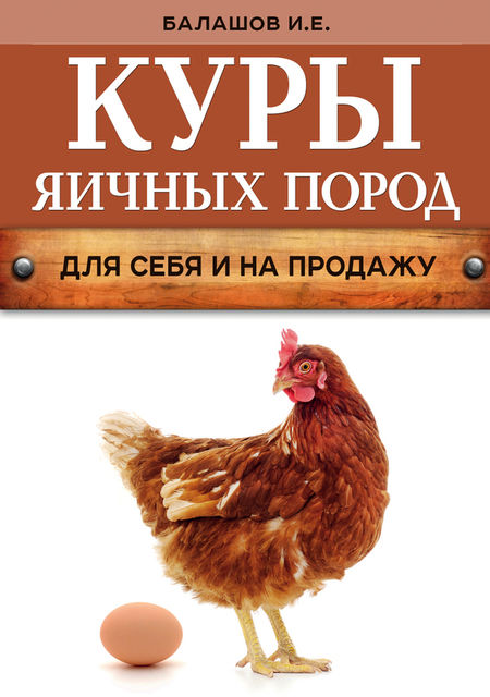 Куры яичных пород, Иван Балашов