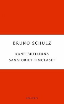 Kanelbutikerna/Sanatoriet Timglaset, Bruno Schulz
