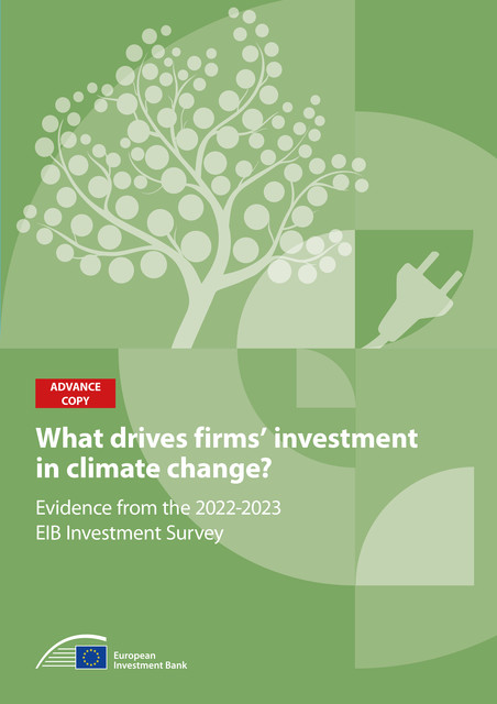 What drives firms' investment in climate action, European Investment Bank