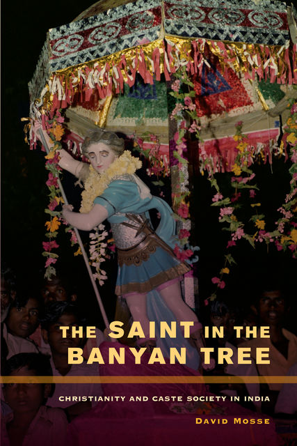 The Saint in the Banyan Tree, David Mosse