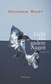 Licht für andere Augen, Hendrik Rost