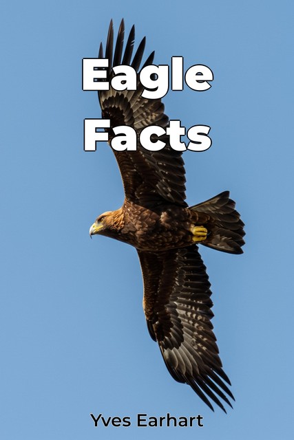 Eagle Facts, Yves Earhart