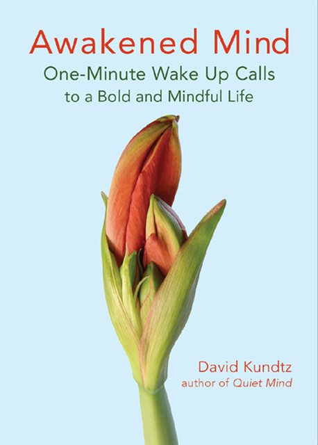 Awakened Mind, David Kundtz