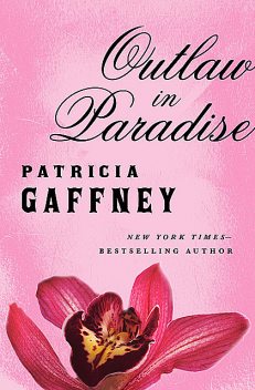 Outlaw in Paradise, Patricia Gaffney