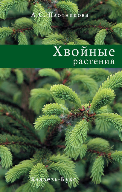 Хвойные растения, Лилиан Плотникова