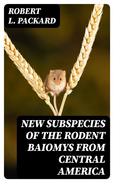 New Subspecies of the Rodent Baiomys from Central America, Robert L.Packard